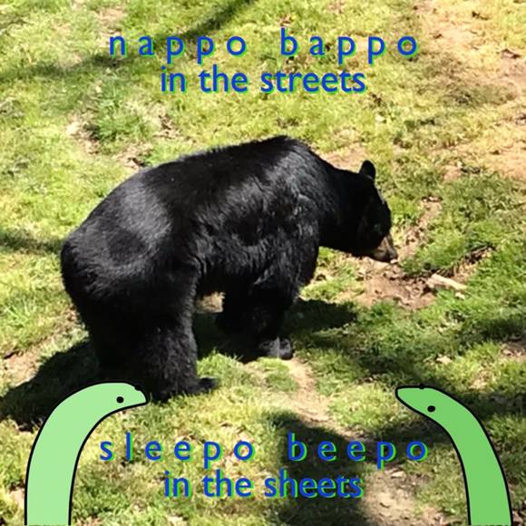 Meet your Posher, Lauren - Picture 1 of 1